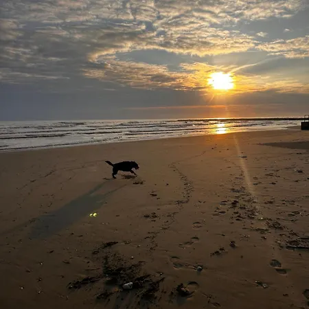 Bella Vista Apartament Silvi Marina